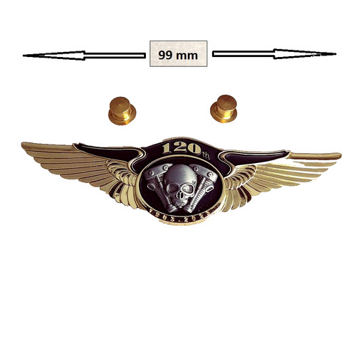 Pin lapel pins - lapel,