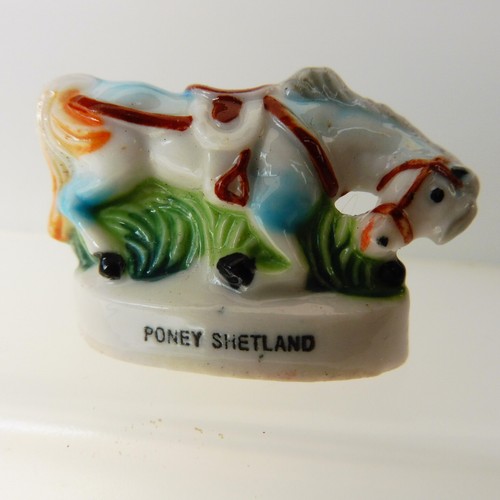 Fève poney shetland gm - -,