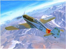 Focke-Wulf FW 190D-9, 1/48 -