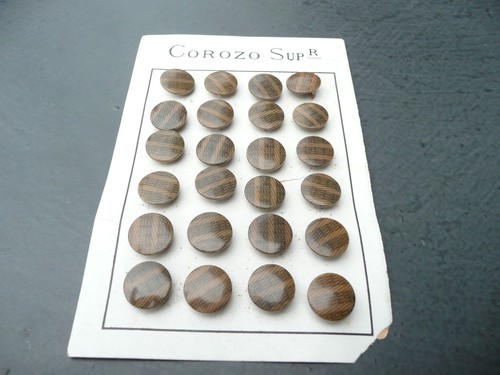Boutons ancien corozo - boutons,