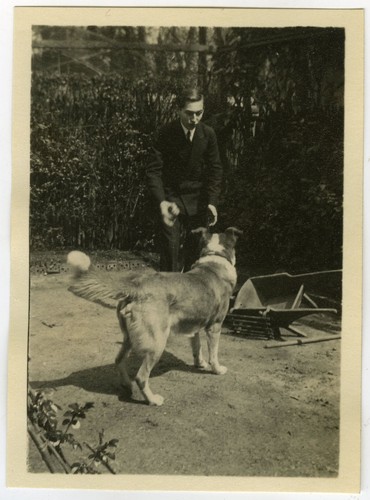 Photo ancienne animal - -, chien