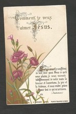 IMAGE  PIEUSE Bouasse jeune