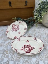 🌸 2 Raviers Anciens