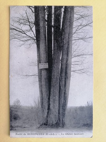 Cpa forêt senonches - de,
