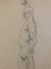Beau Dessin Art écorché anatomie à la main crayon Muscle 1950 Curiosité Corps