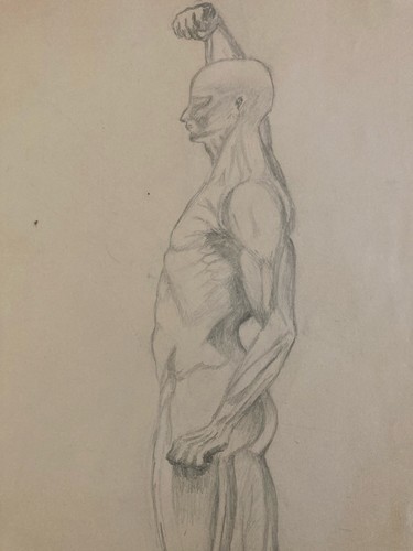 Beau dessin art écorché - art,