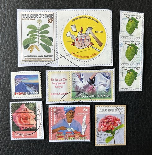 Lot timbres de - lot, 10