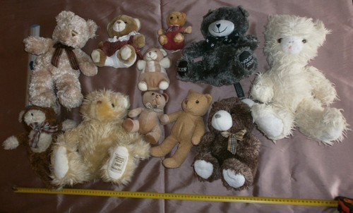 Collection oursons 10 - oursons,