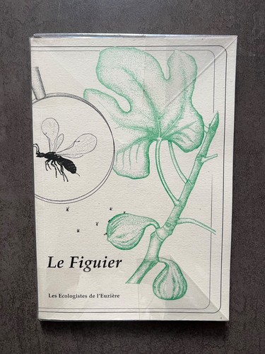 Figuier par les - figuier,