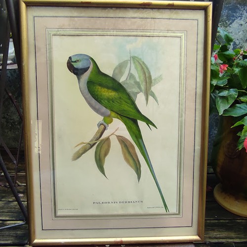 Ancienne lithographie
