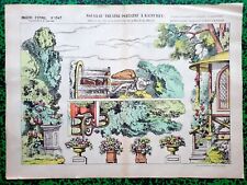  XIX ème - Rare Planche