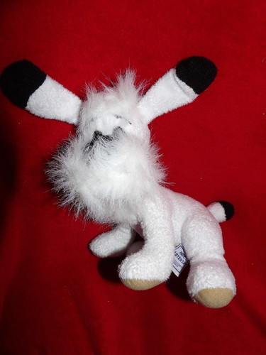 Doudou peluche chien blanc - doudou, et