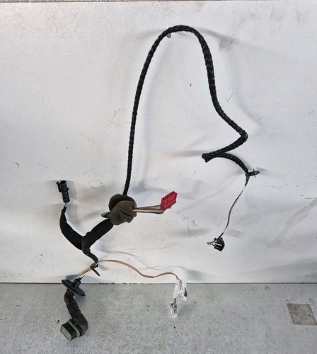 Faisceau porte avant droit - avant,