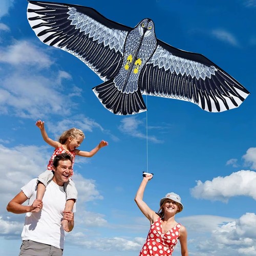 Cerf volant aigle - cerf-volant, 185cm