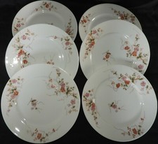 Porcelaine de Limoges vers 1900 (x6 ASSIETTES PLATES) fleurs FLOWERS