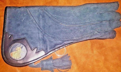 Aigle fauconnerie droit - aigle,