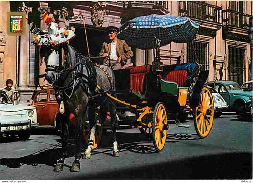 Carte postale animaux - carte,