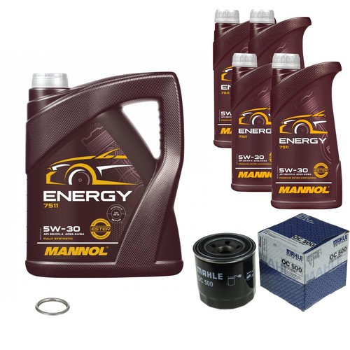 Inspection set energy - inspection, 5w-30