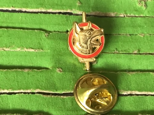 Pins brevet maître - pins, chien