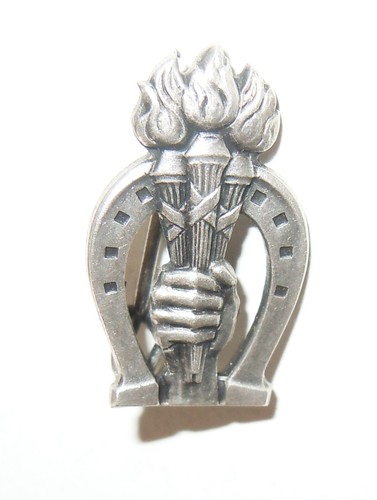 Insigne épinglette politique - insigne,