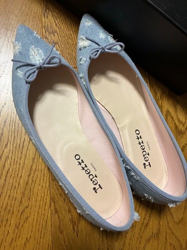 Repetto flat shoes pointed - shoes,