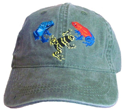 Poison dart frog - dart,