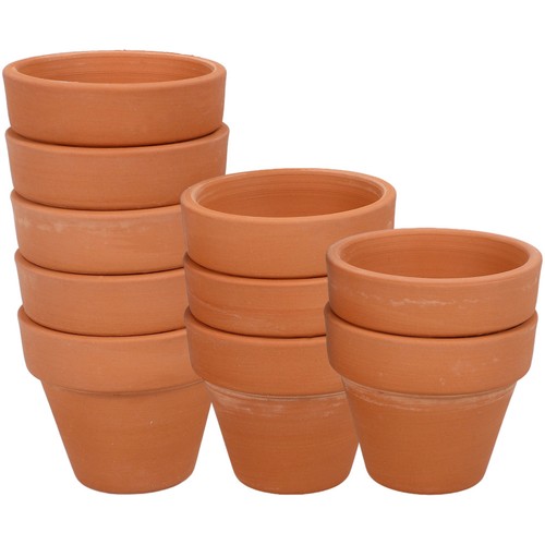 Pcs pot cactus - 10, de