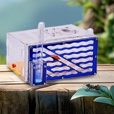 Nid de fourmis, fournitures de