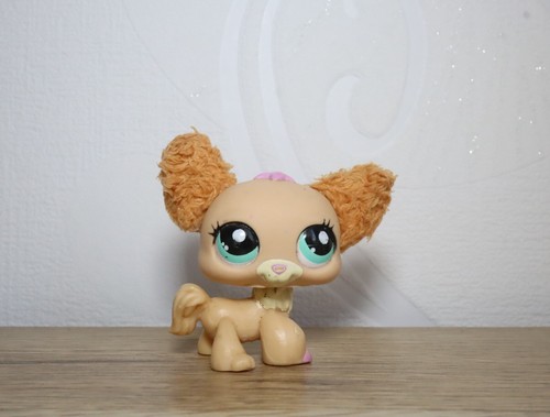 Littlest petshop chihuahua - littlest,