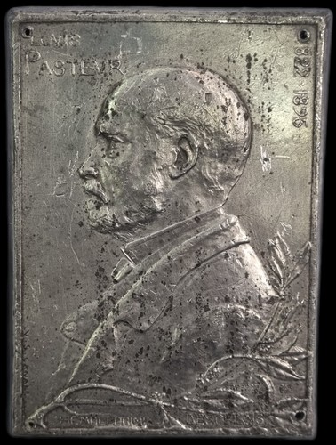 Medaille louis pasteur 8x11cm - medaille,
