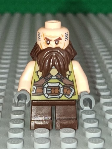 Lego seigneur des anneaux - le,