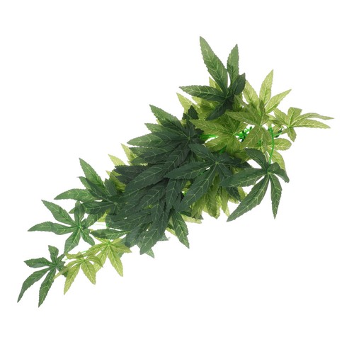 Accessoires pour gecko - accessoires,