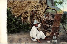 PC MEXICO POULTRY VENDOR