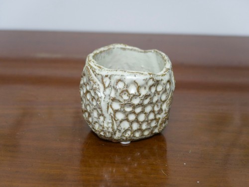 Ptmd collection cache pot - ptmd,