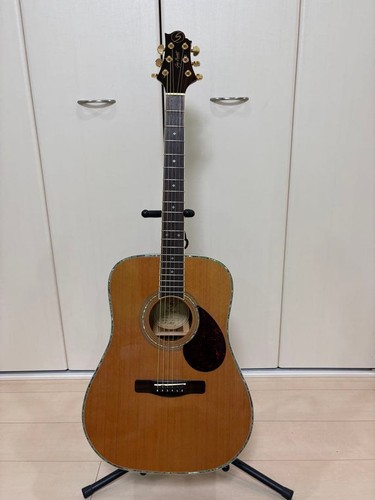 Guitare acoustique greg - guitare,