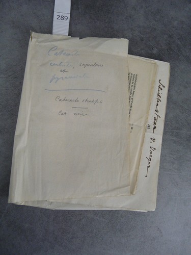 Coupures journal cataracte - de,