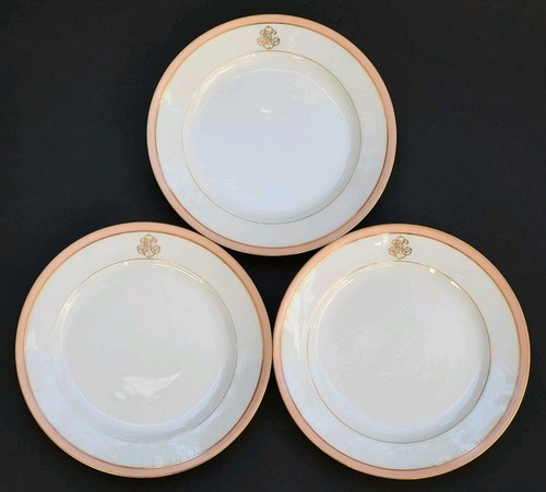 Anciennes assiettes plates - anciennes,