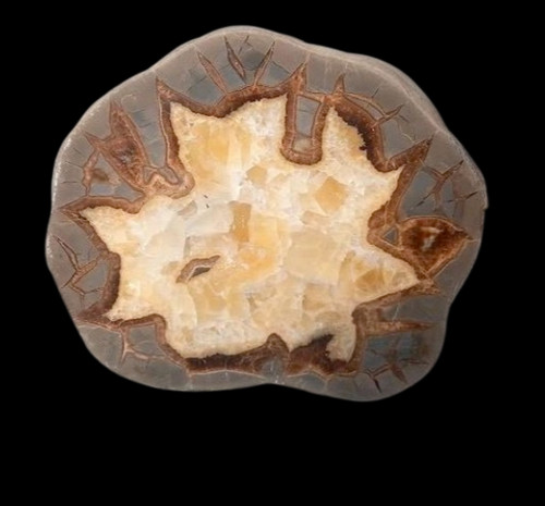 Septaria grande tranche - , polie