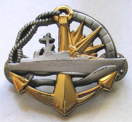 Insigne brevet surfacier - de,