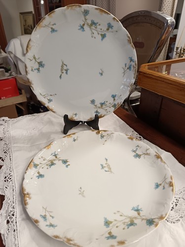 Grand plat rond porcelaine - grand, en