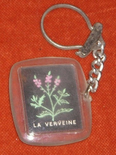 Porte clés key - ring, pagés