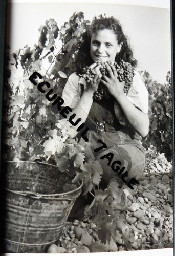 Photo presse 1961 - presse,