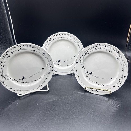 Set ciroa oiseau - of, black