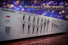 Technics SH-8025 🌈RaRe🌈