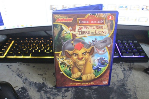 Garde roi lion - lion,