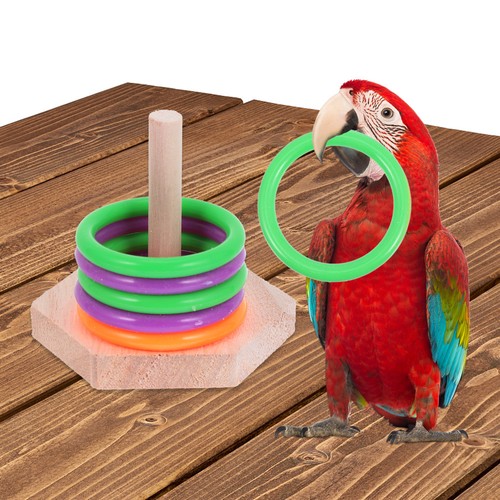 Jouet éducatif pour oiseaux
