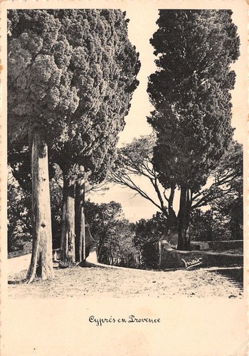83-PROVENCE