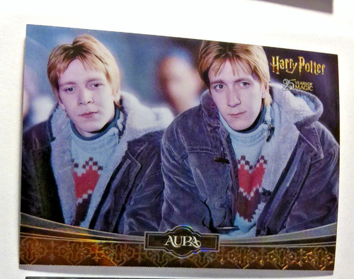 Harry potter kakawow - harry,