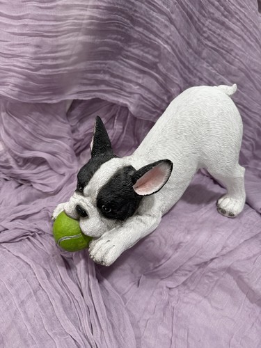 Boston terrier or french - 10”,
