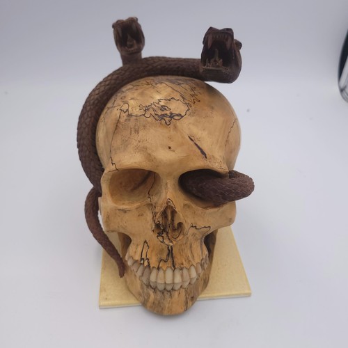 Grand crâne memento - , bois